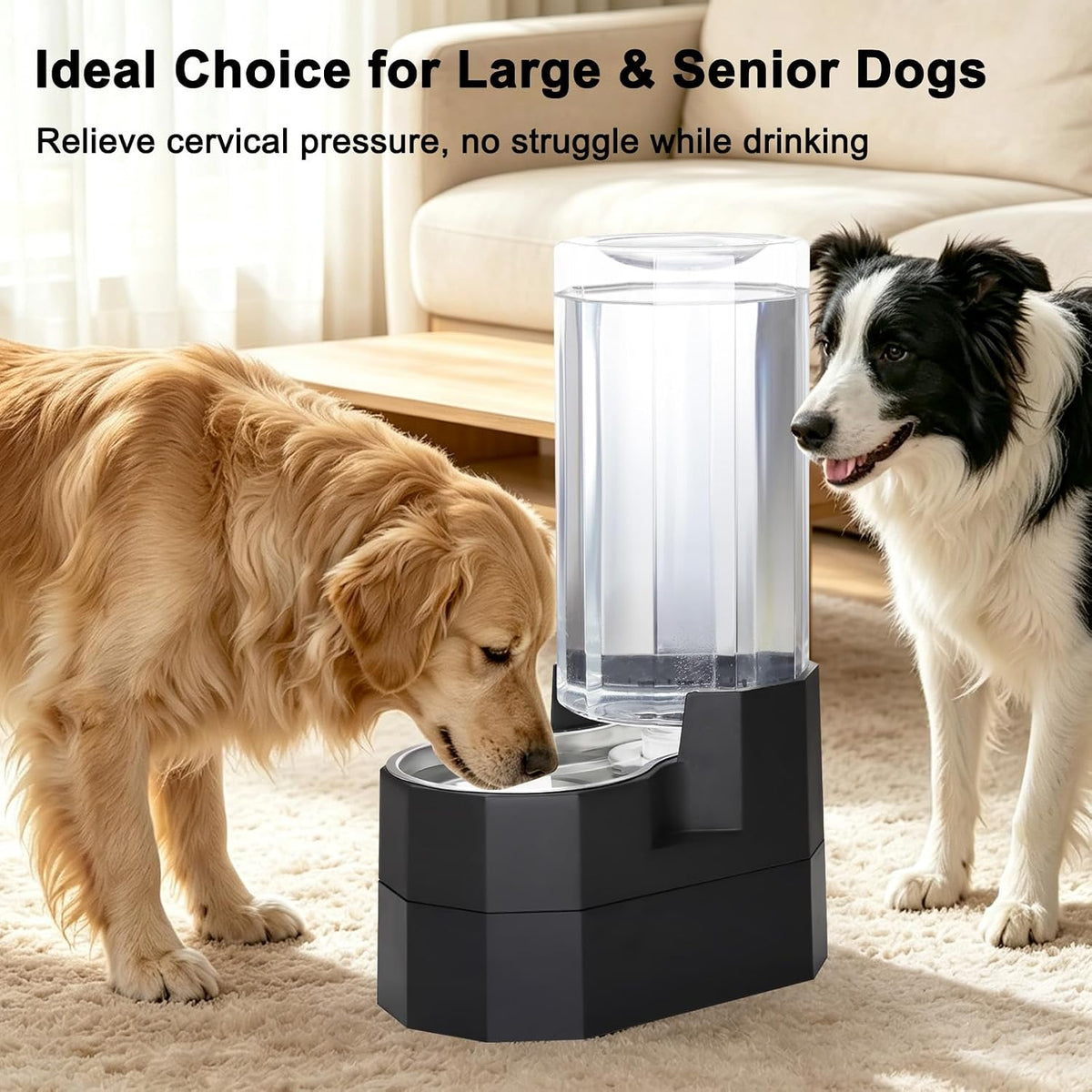 RIZZARI 9L Gravity Dog Water Dispenser: Elevated Filtered Station