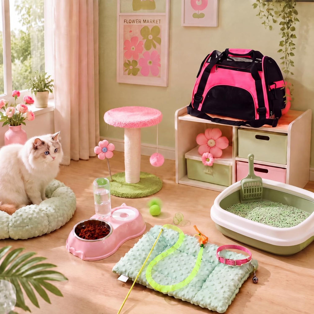 Eccliy 10 Pcs Kitten Starter Kit for Indoor, Classic, Medium, Pink Green
