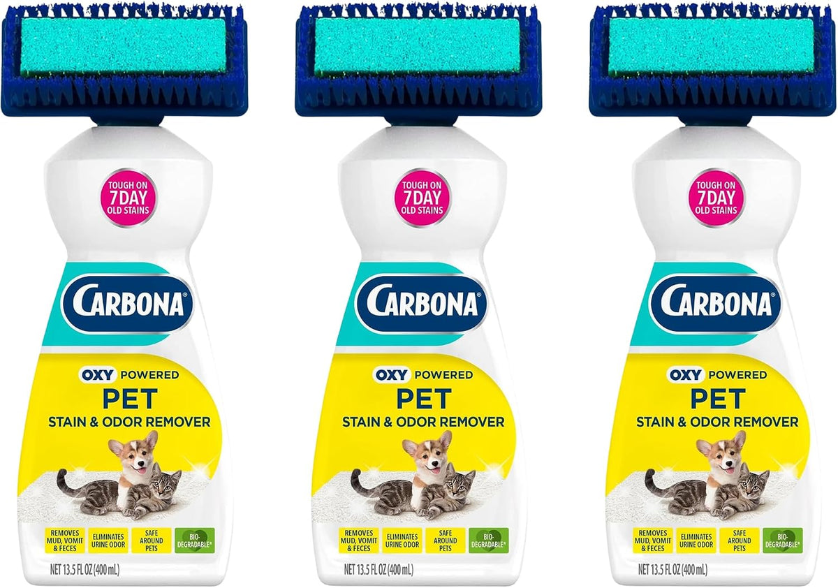 Carbona Oxy-Powered Pet Stain & Odor Remover, 2-in-1 Foaming Carpet Cleaner with Built-In Brush, Targets Urine, Vomit, Mud Messes from Dogs, Cats, 13.5 Oz (Pack of 3)
