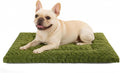 Exsnugy Washable Dog Bed Mat Medium Size Fluffy Pet Crate Pad 30x19