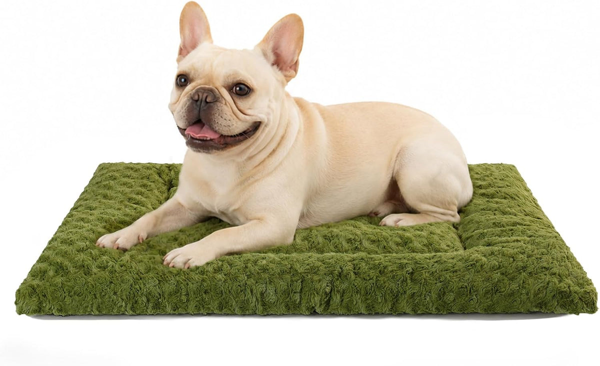 Exsnugy Washable Dog Bed Mat Medium Size Fluffy Pet Crate Pad 30x19