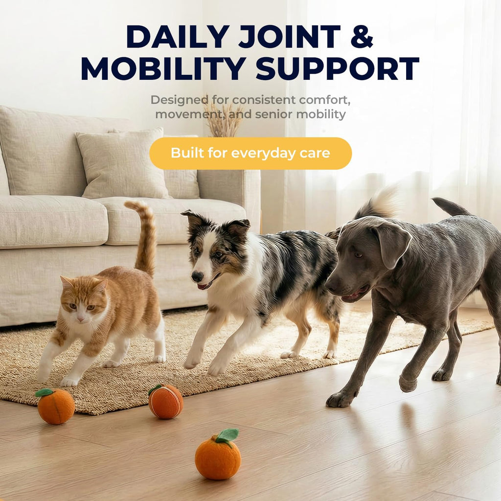 Turmeric Curcumin Liquid for Dogs & Cats, Joint & Mobility Formula
