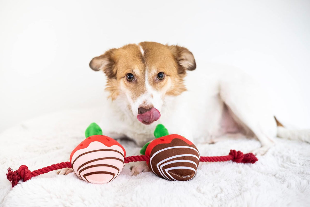 Pearhead “You’re Berry Cute” Valentine’s Day Dog Toy – Plush Strawberry Squeaker & Rope Tug Toy, Interactive Crinkle Chew Toy for Dogs, Festive Valentine Pet Gift