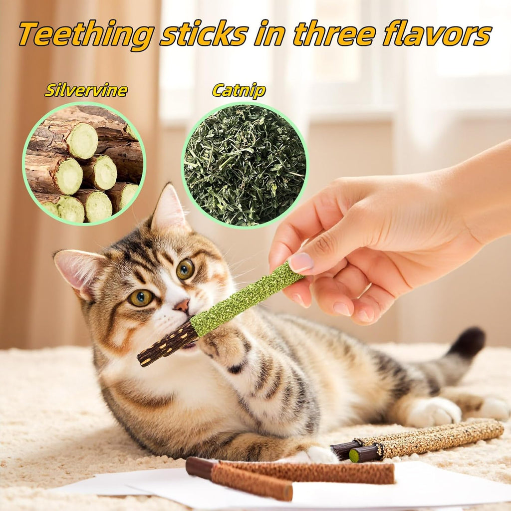 12 Pack Silvervine Cat Chew Sticks - Natural Kitten Toy for Cats