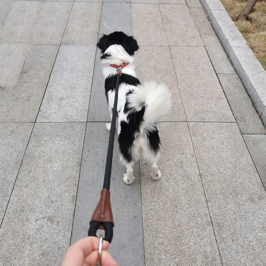 3FT Dog Tether Lead No Handle Dog Leash Tie Down Extension Rope
