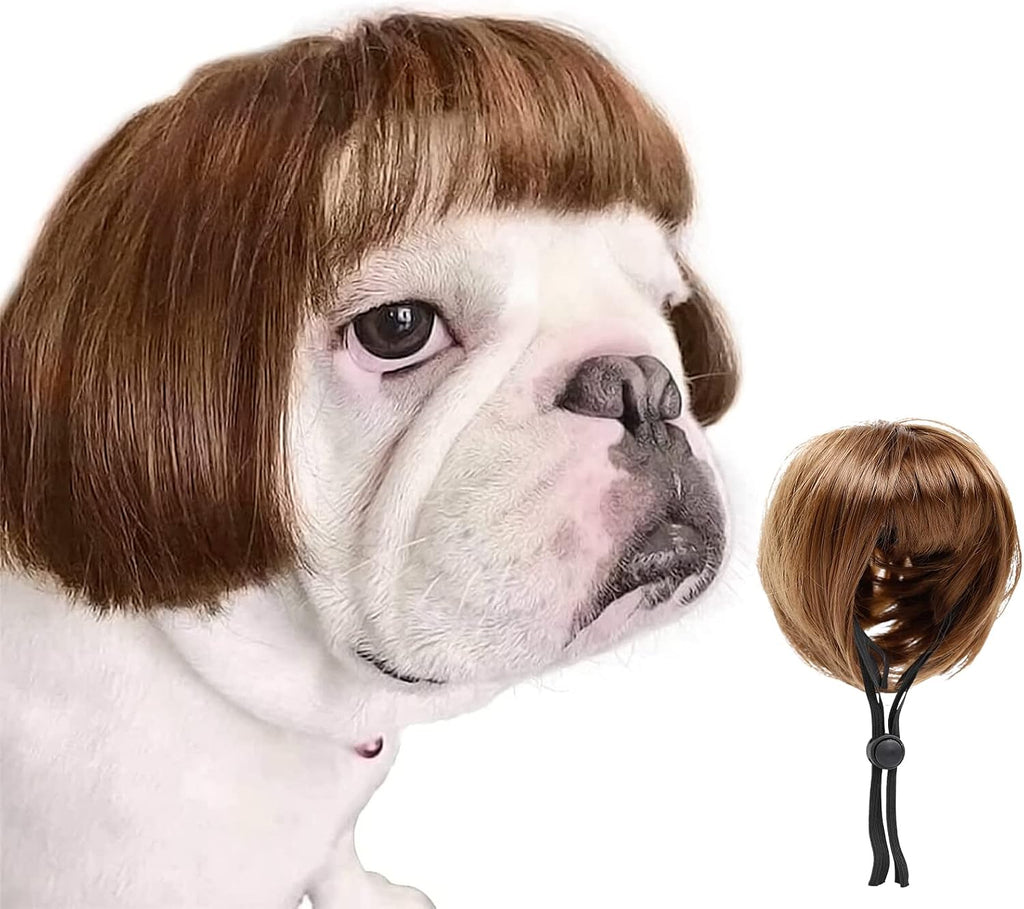 HOWWFALY Dog Costume Cat Apparel Dog Toys Curly Braids Headgear Wigs Styling Cute Funny Pet Hair Accessories Decoration for Halloween, Christmas, Parties(Flax)