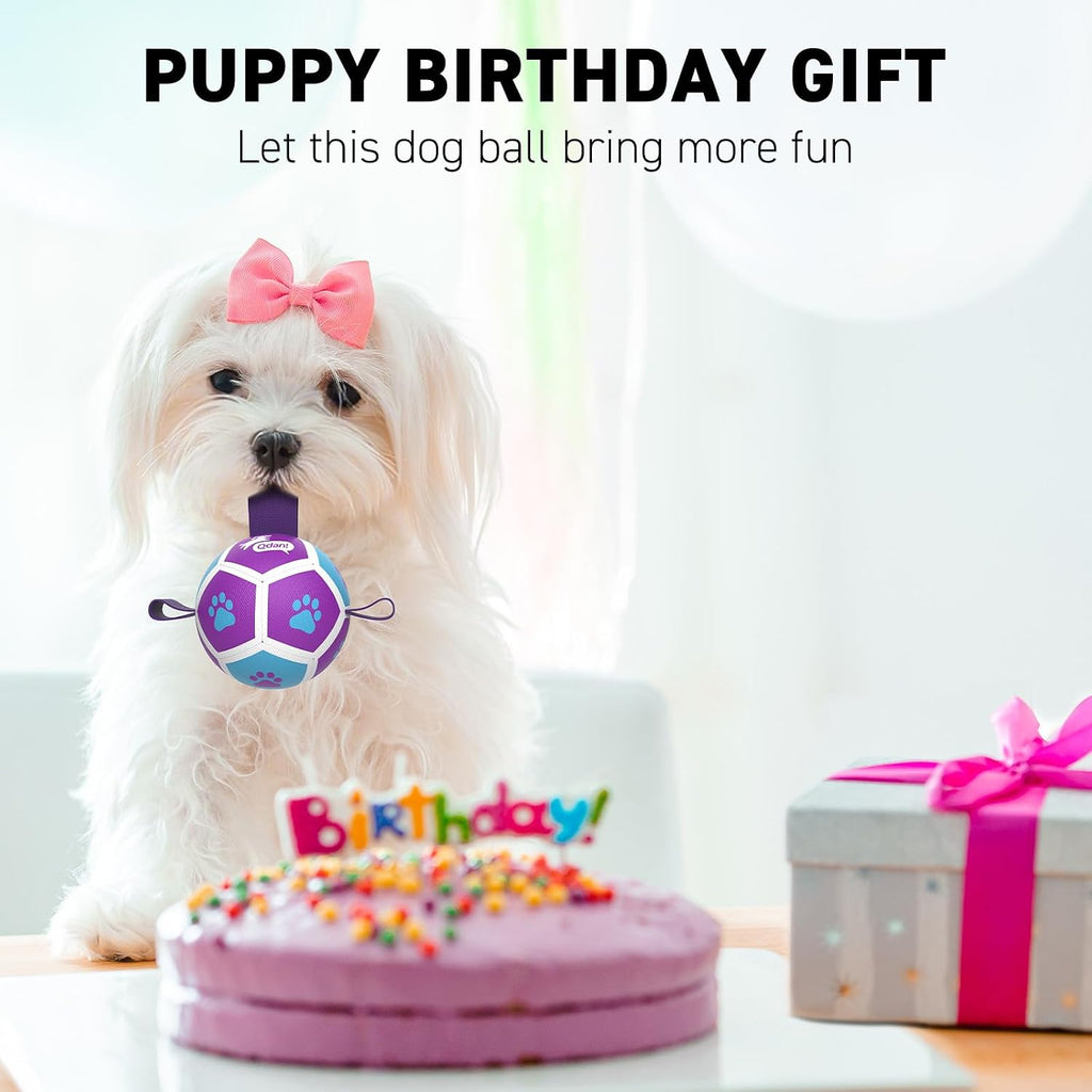 QDAN Small Dog Toys, Puppy Balls, Dog Balls with Straps for Small Breed | 3.5 Inch Small Soccer Ball for Dogs, Puppy Toys for 3-15 lbs Dogs, Dog Birthday Gift, Herding Ball for Small Dogs, Purple