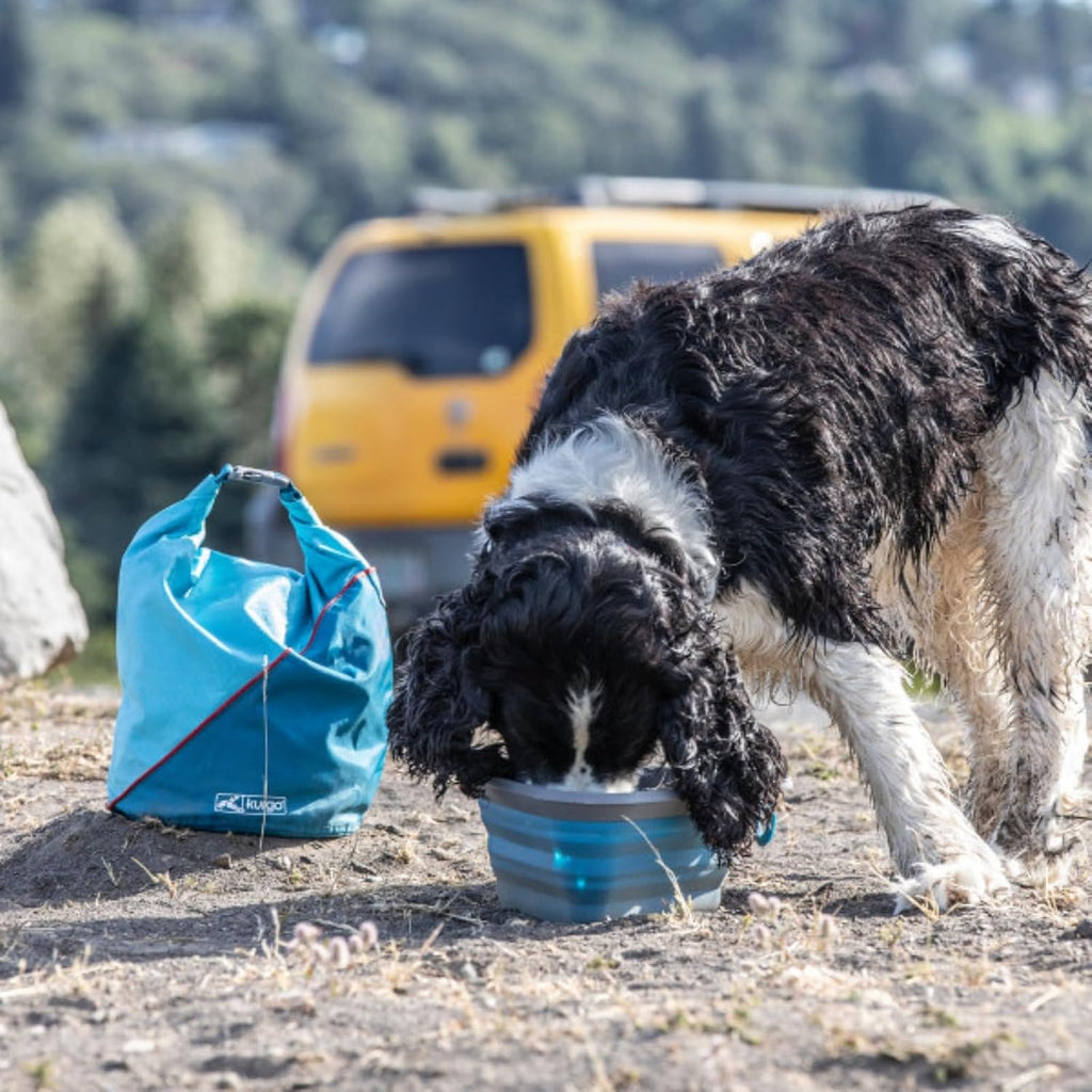 Kurgo Kibble Carrier Portable Dog Food Travel Container, Navy Blue