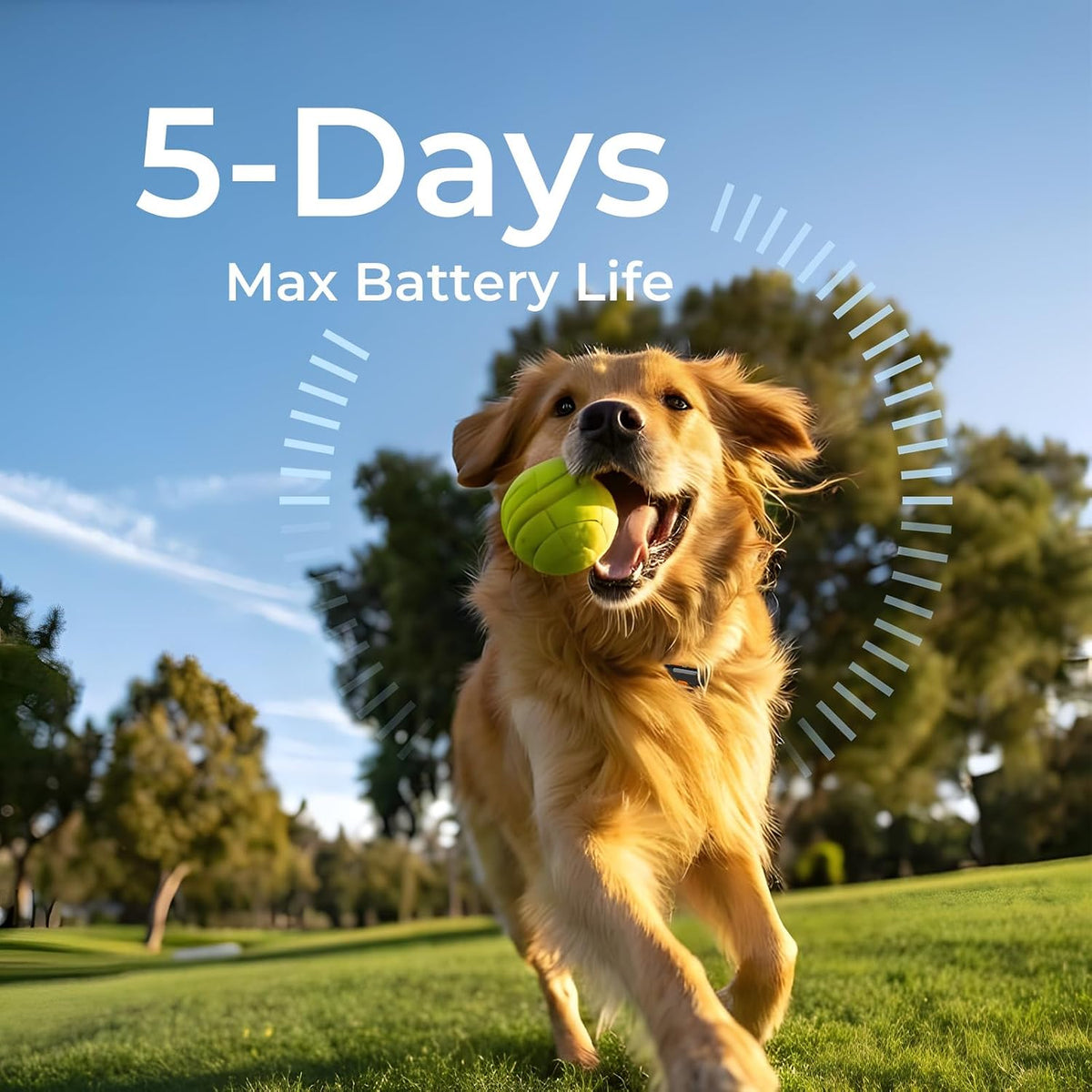 No Monthly Fee Dog Tracker (Add‑On Unit Only),Off‑Grid GPS Collar Tracker