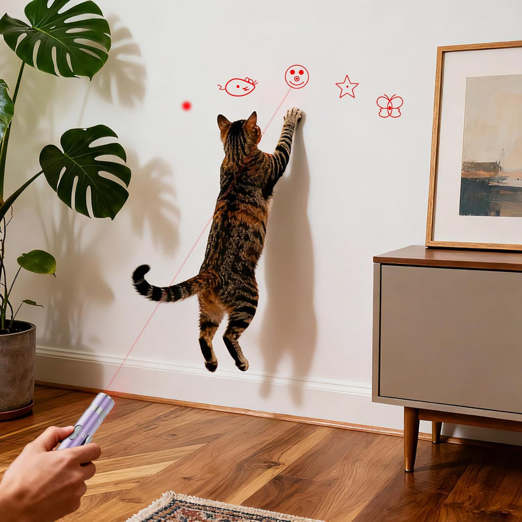 Cat Toys, Rechargeable, Interactive USB Chase Toy for Cats & Kittens