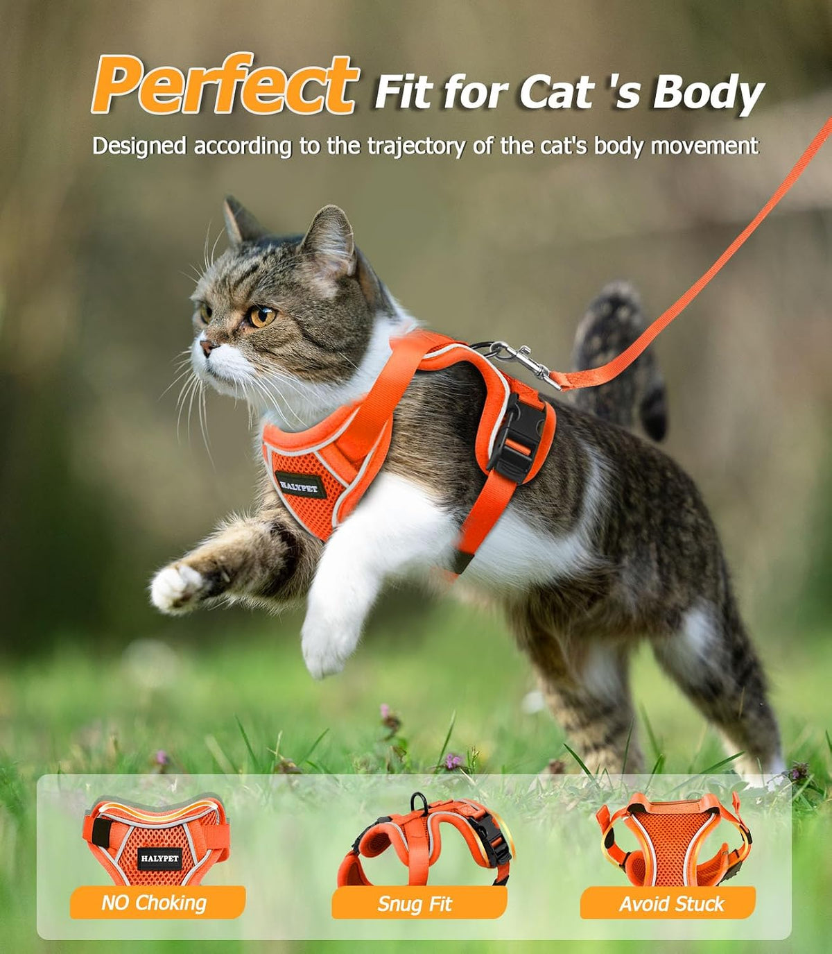 Cat Harness and Leash Set,Escape Proof Kitten Harness,Orange