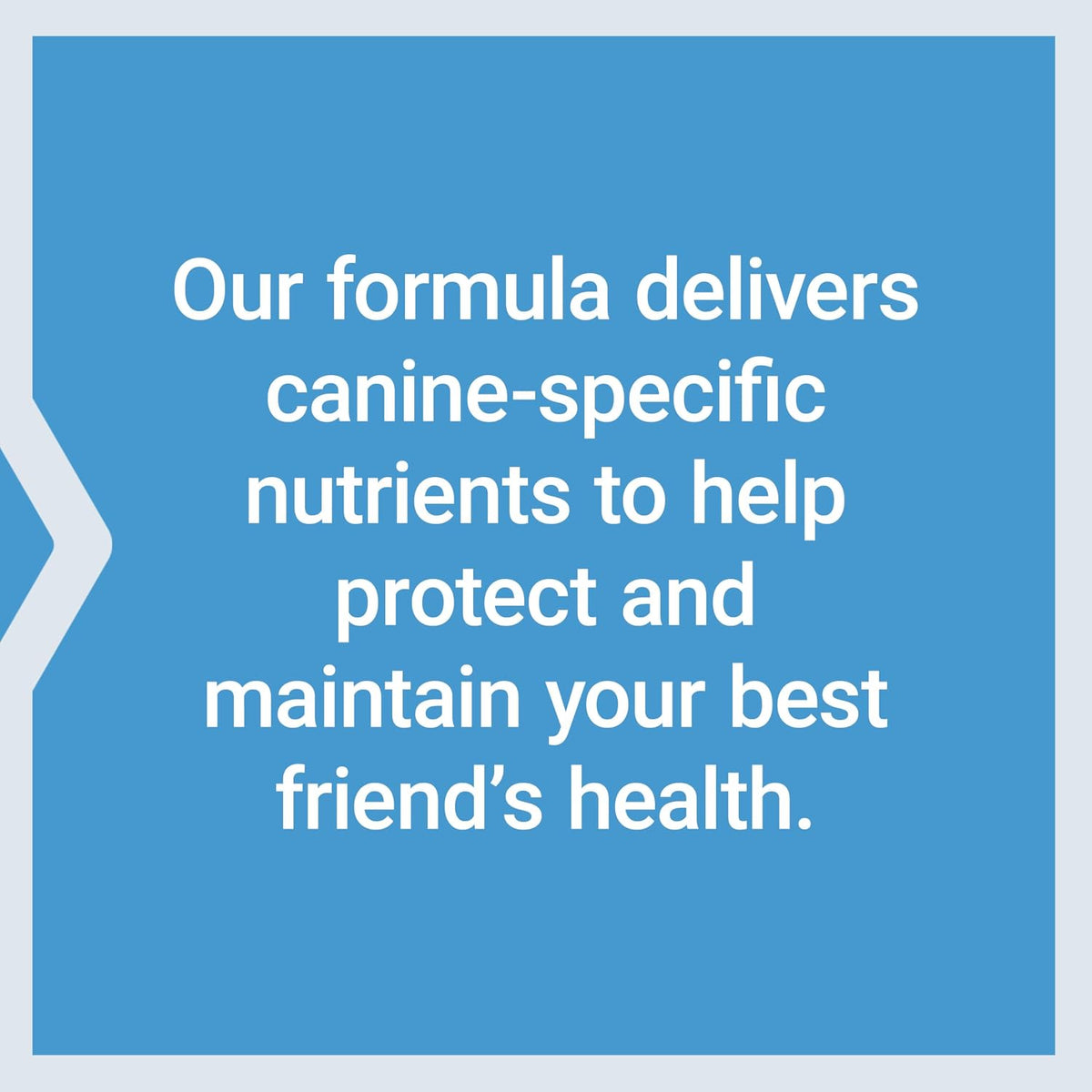 Life Extension Dog Mix, Dog Vitamins and Supplements, probiotics, L-carnitine, B12, folic Acid, Vitamin C, Vitamin E, Rosemary, Nutrient Absorption, Gluten-Free, Non-GMO, 60 Servings (Pack of 12)