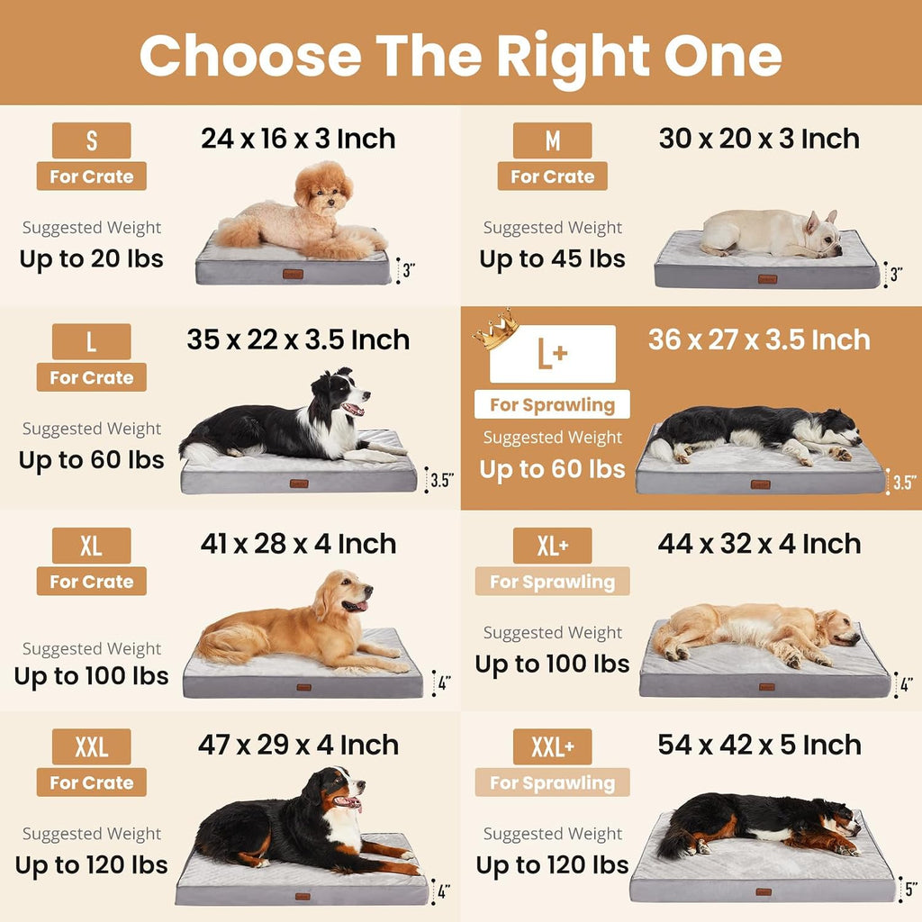 OhGeni Orthopedic M-L Dog Bed, Reversible Memory Foam,36 inch(Gray)