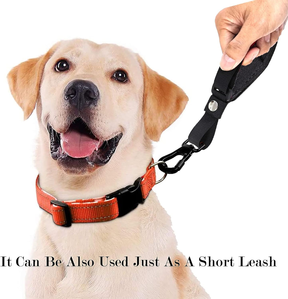 Hands Free Dog Leash Wrist Safety Strap, 2 Pack Soft Comfortable Diving Fabric Dog Leash Wrist Strap for Safe Walking (Blue & Red)