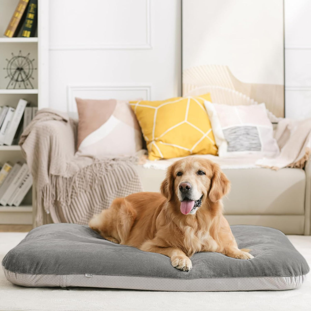 Magic Dog Orthopedic Extra Large Dog Bed 47 Inch, Super Soft XL Pet Bed