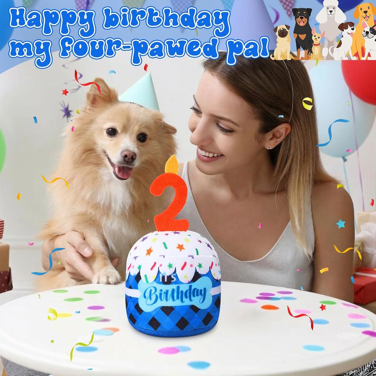 Dansydaisy Dog Birthday Cake Toy Squeaky Plush Gift,2nd,Blue Grid | Interactive Squeaky Gift for Dogs, Dog Birthday Decor , Soft Chew for Small Medium Large Pets, Cake Design with Candle