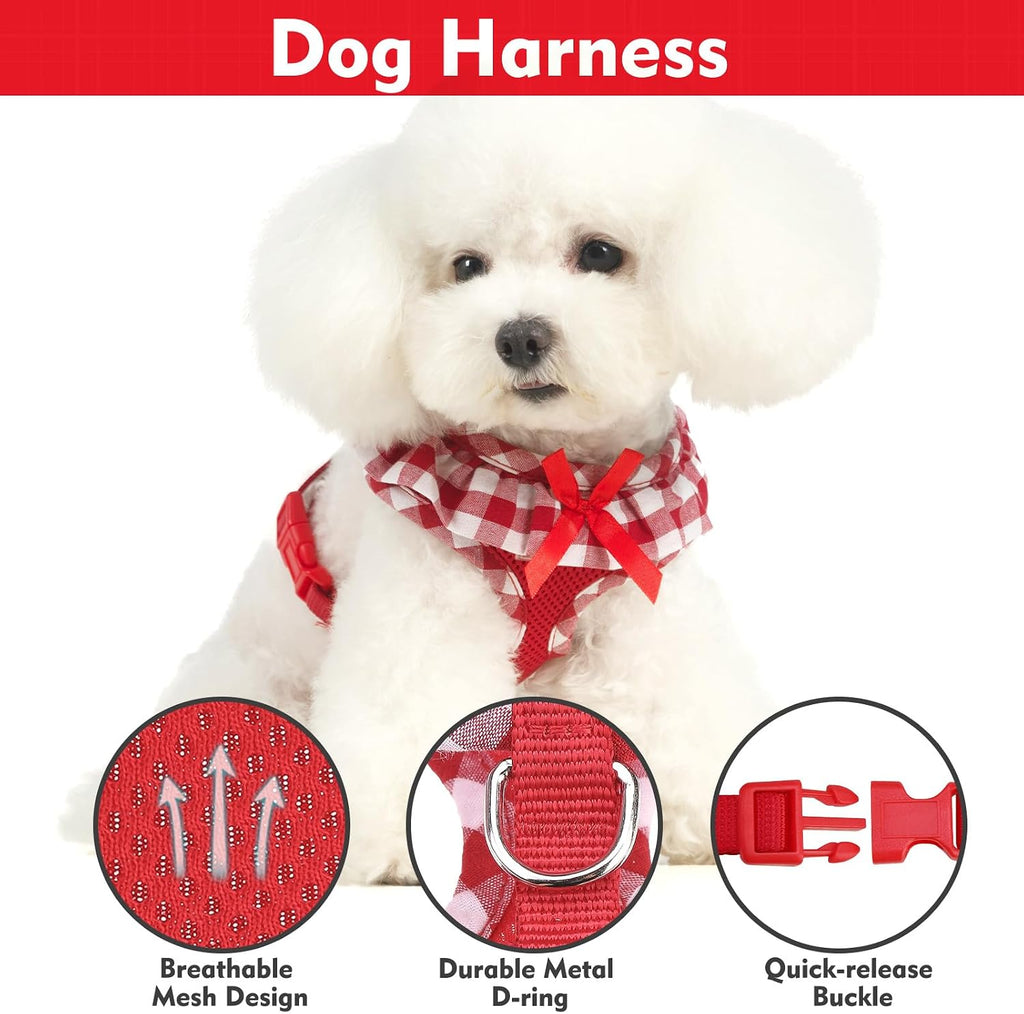 EXPAWLORER Step-in Dog Harness Small Sized Collar and Leash Set