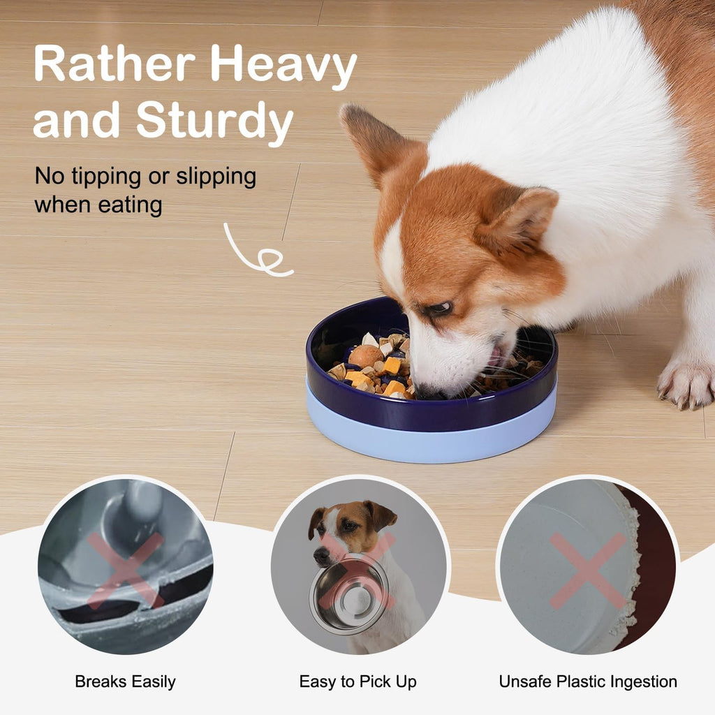 Sted Ceramic Slow Feeder Dog Bowls with Silicone Base
