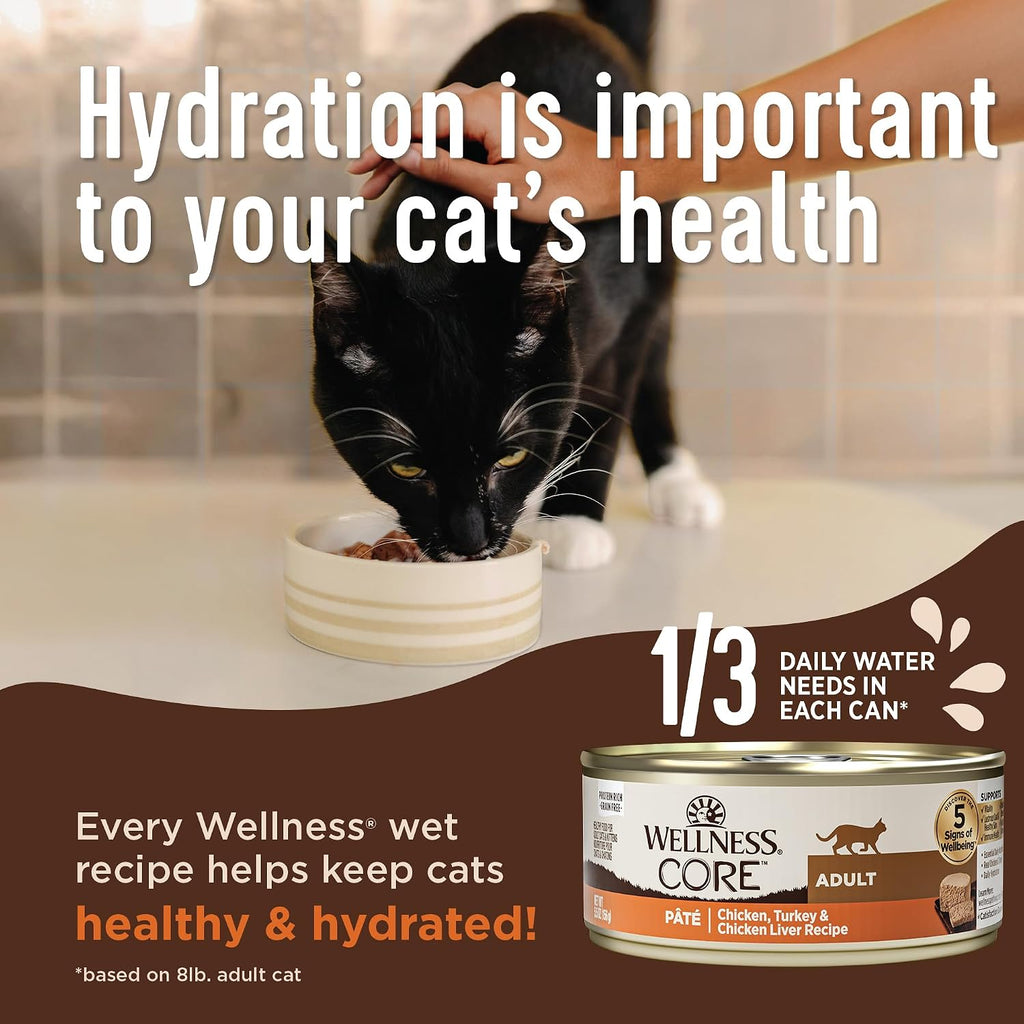 Wellness CORE+ Skin and Coat Health Pate Adult Canned Wet Cat Food, Natural, Protein Rich, Grain Free, Duck and Chicken Recipe, 2.8 oz, Pack of 12 Cans
