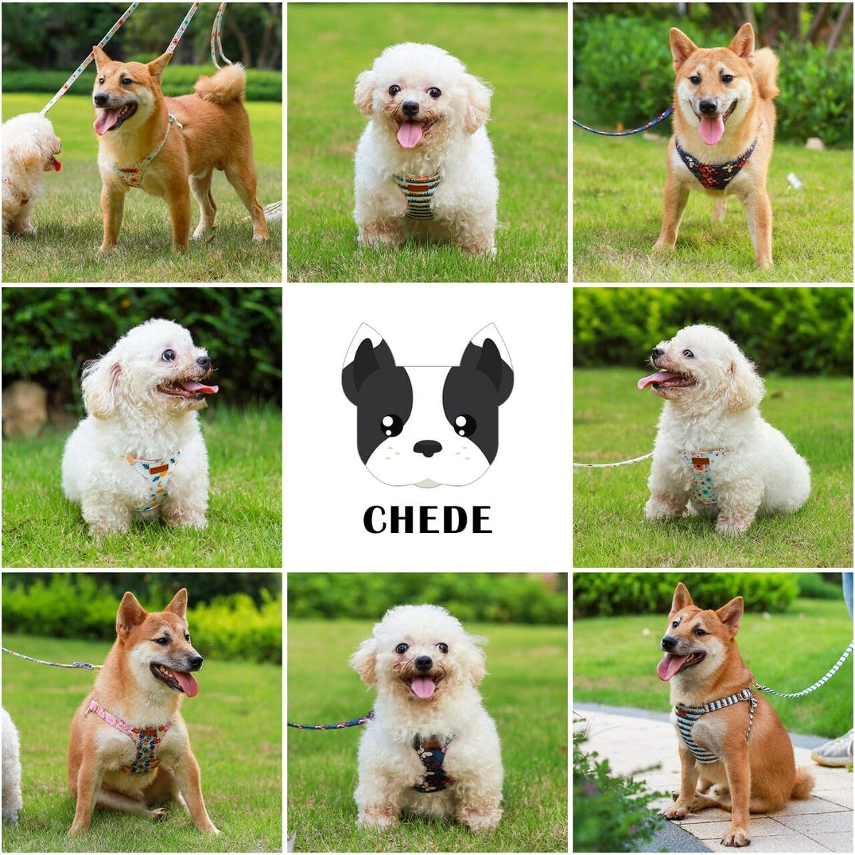 CHEDE No Pull Floral Pattern Dog Harness- Lightweight and Soft Harness, Adjustable Small Dog Harness and Leash Set, with Dog Leash, Suitable for Puppy Small and Medium-Sized Dog