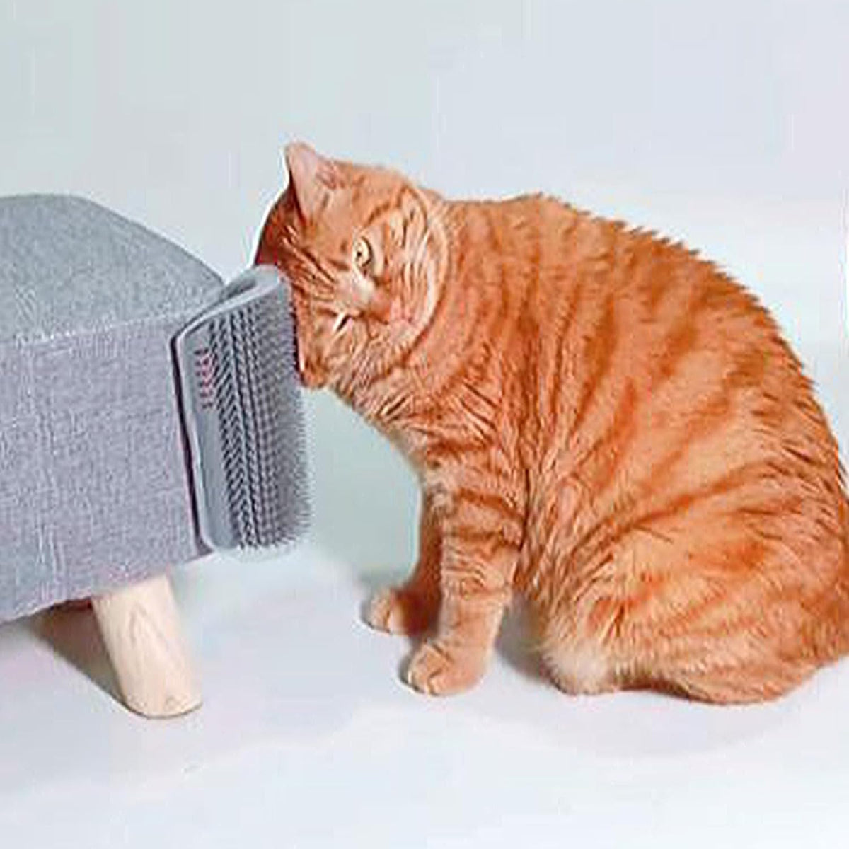 miwoowim 2PCS 6.1" Extended Cat Self Groomer, Wall Corner Massage Brush