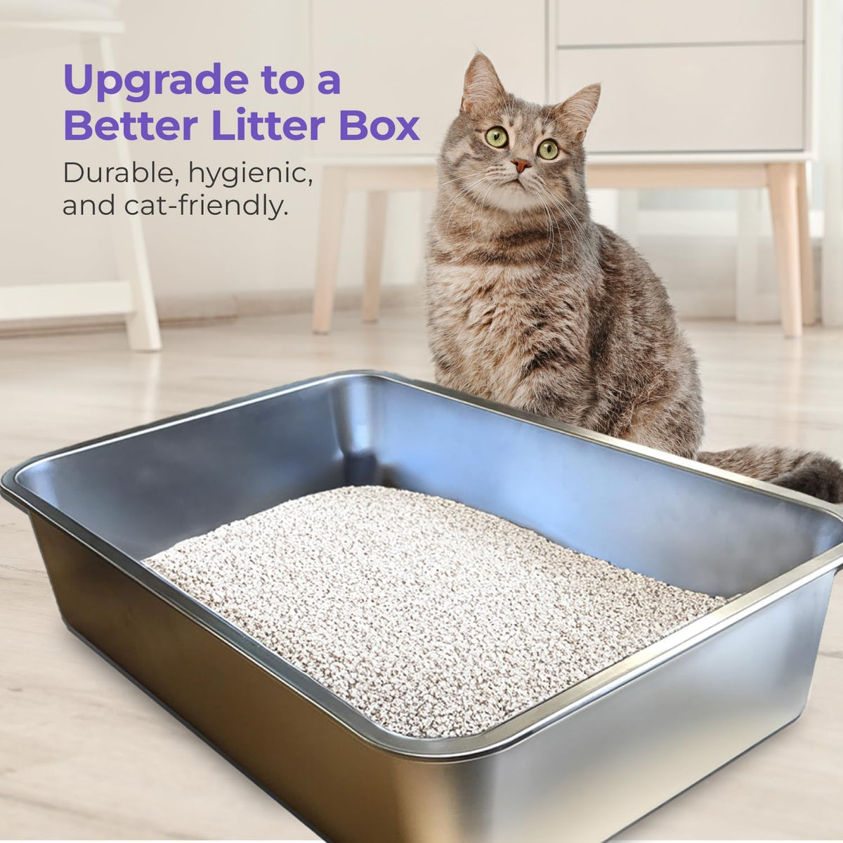 iPrimio Stainless Steel Cat Litter Box, Nonstick, XL 23.5" x 15.5" Open Pan | Extra large open steel pan built for big cats. The nonstick surface and rounded corners rinse clean in seconds, no scrubbing.