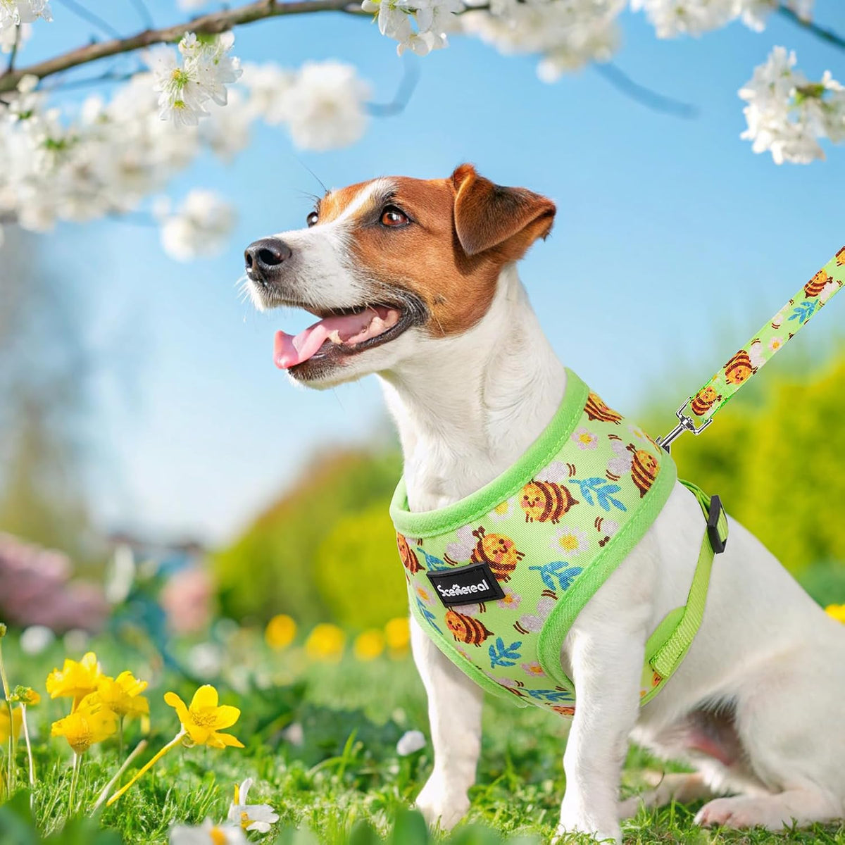 SCENEREAL Small Dog Harness and Leash Set, Bee, M