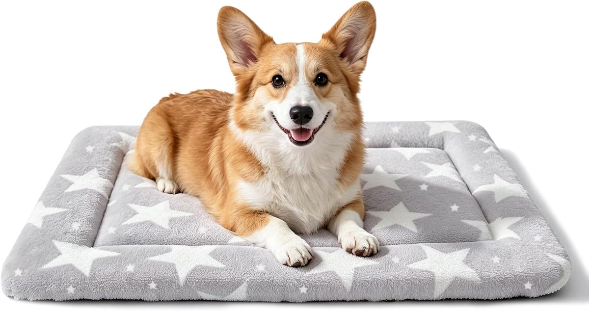Dog Bed Mat, Reversible Crate Pad & Cute Dog Bed - Machine Washable Kennel Mat with Ultra Soft (Big&Small Stars Gray, 24" L*18" W*1.5" Th)