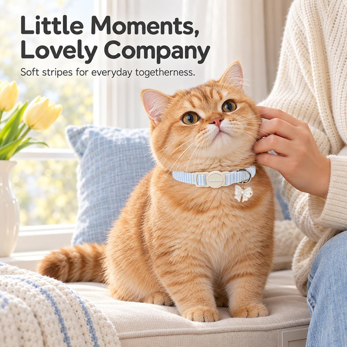 lionet paws 2 Pack Cat Collar Breakaway with Bells-Blue & Yellow Stripe