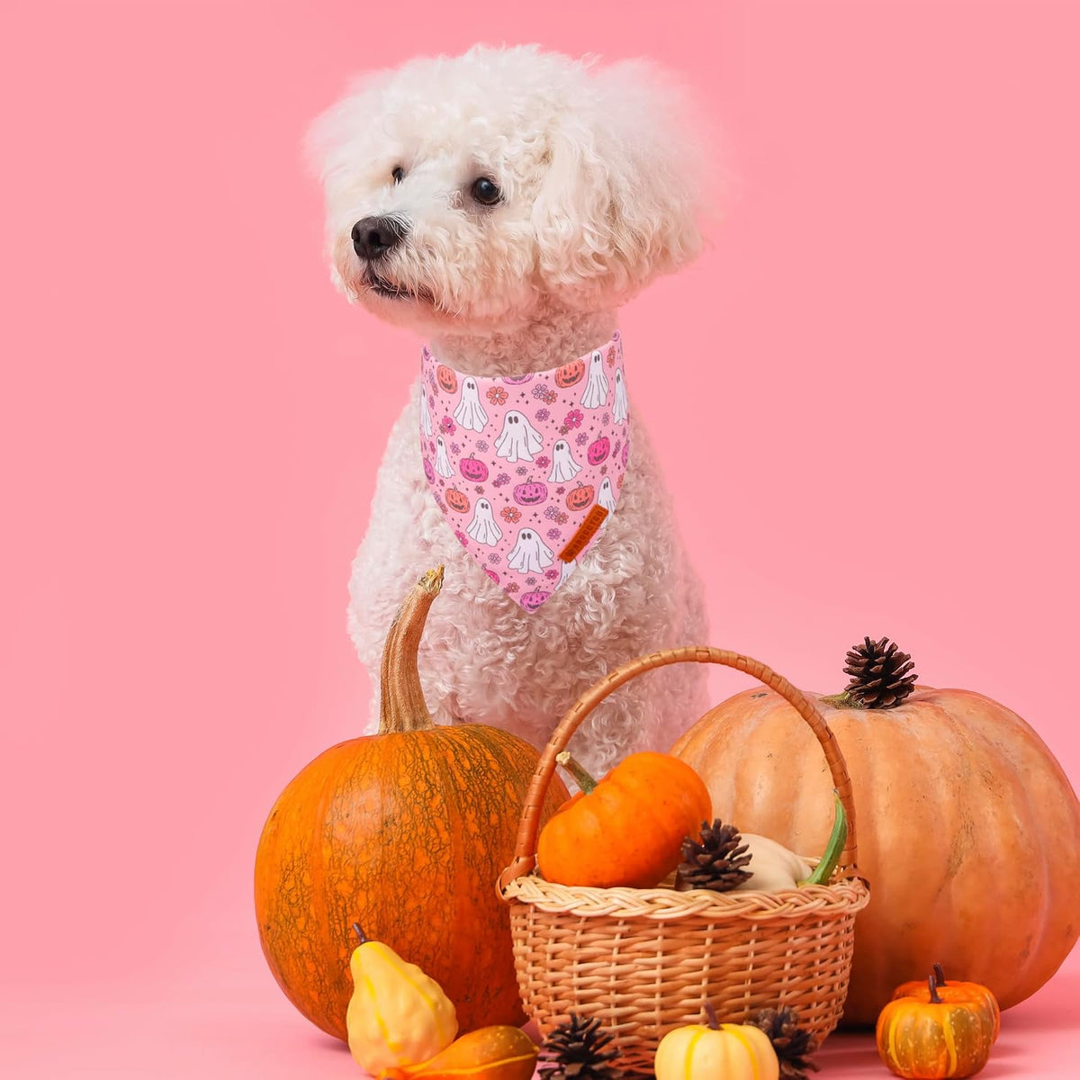 ADOGGYGO Pink Halloween Dog Bandanas Girl, Ghost Pumpkin Dog Scarf, Small