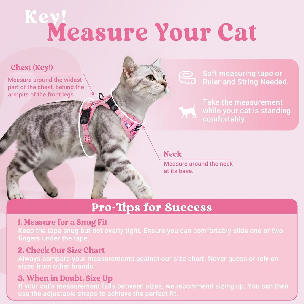 rabbitgoo Cat Harness and Leash Set, Easy-on with Neck Buckle, Berry Bloom