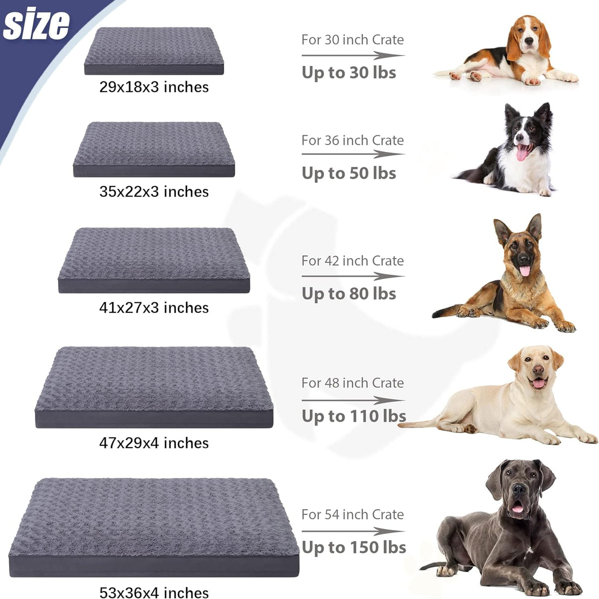Dog Crate Bed Waterproof Dog Beds for Medium Dogs Rose Velvet Soft Fluffy Washable Dog Bed with Removable Cover & Anti-Slip Bottom, 35 x 22 Inch, Gray (Pack of 2)