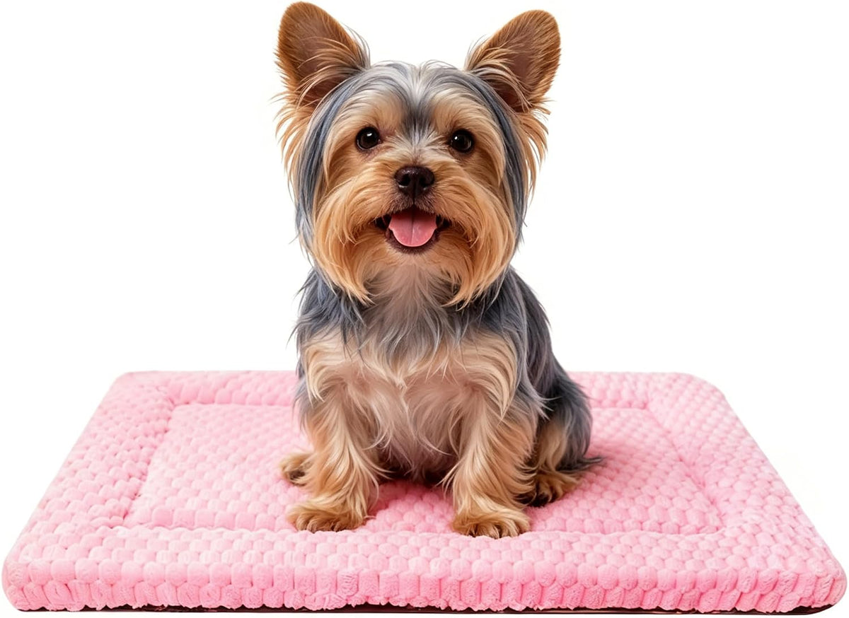 Dog Bed Mat - Durable & Cute Crate Dog Beds for Small Dogs & Cats, Comfortable Kennel Pad for Home, Crate & Travel