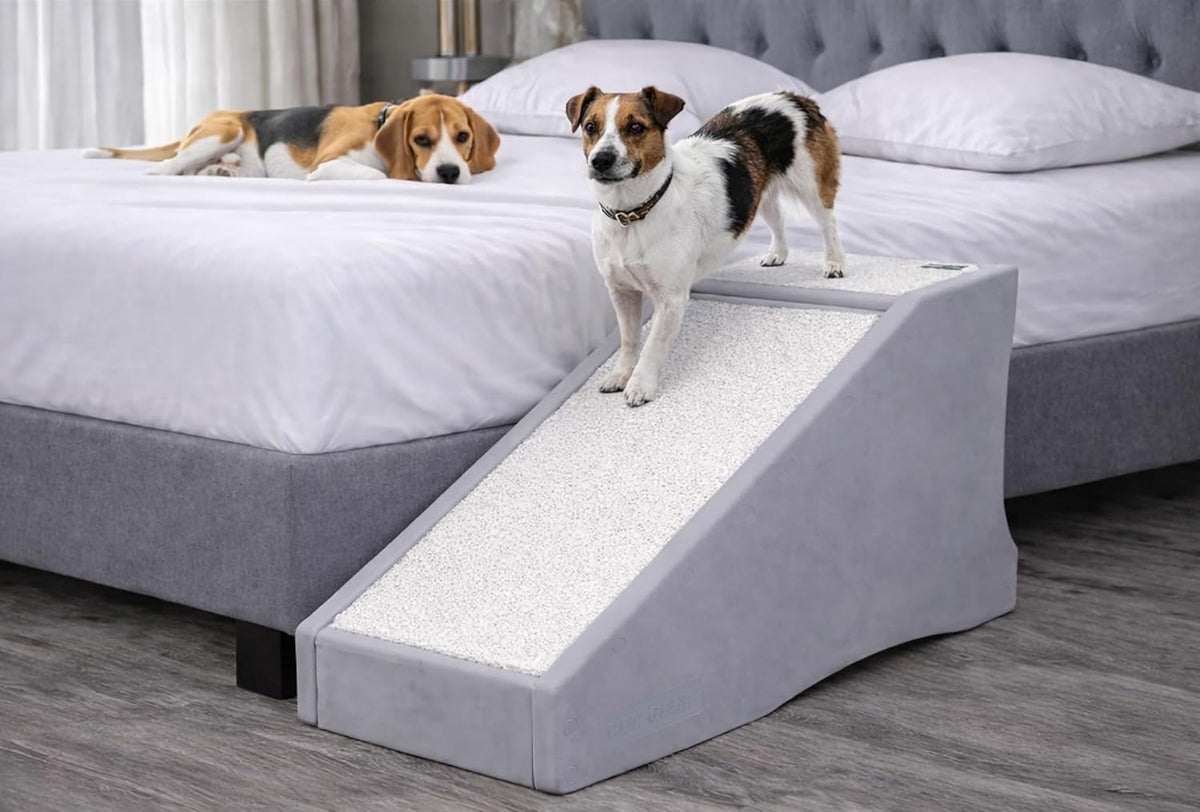 Pet Gear Stramp Stair and Ramp Combination for Dogs/Cats, Sea Salt