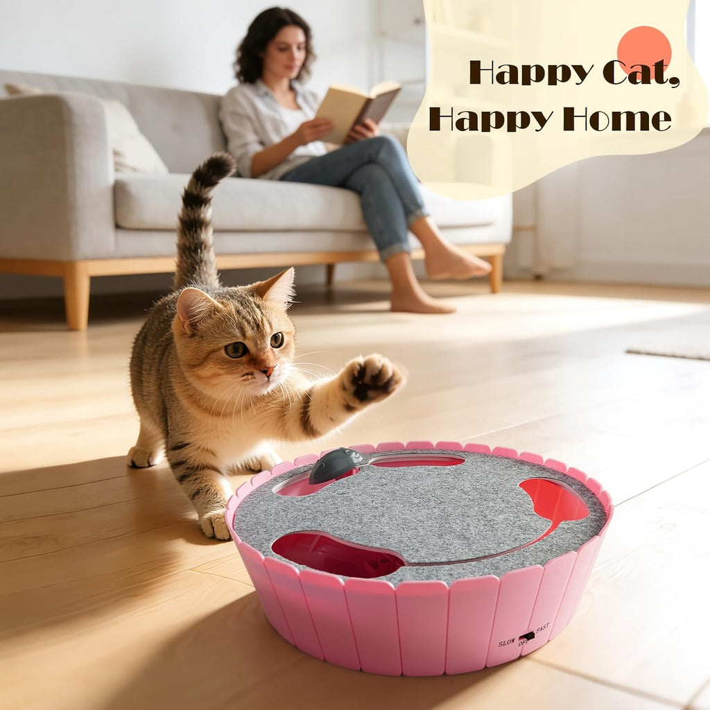 Pawaboo Interactive Cat Toy with Running Mouse, Automatic Track Kitten Toy