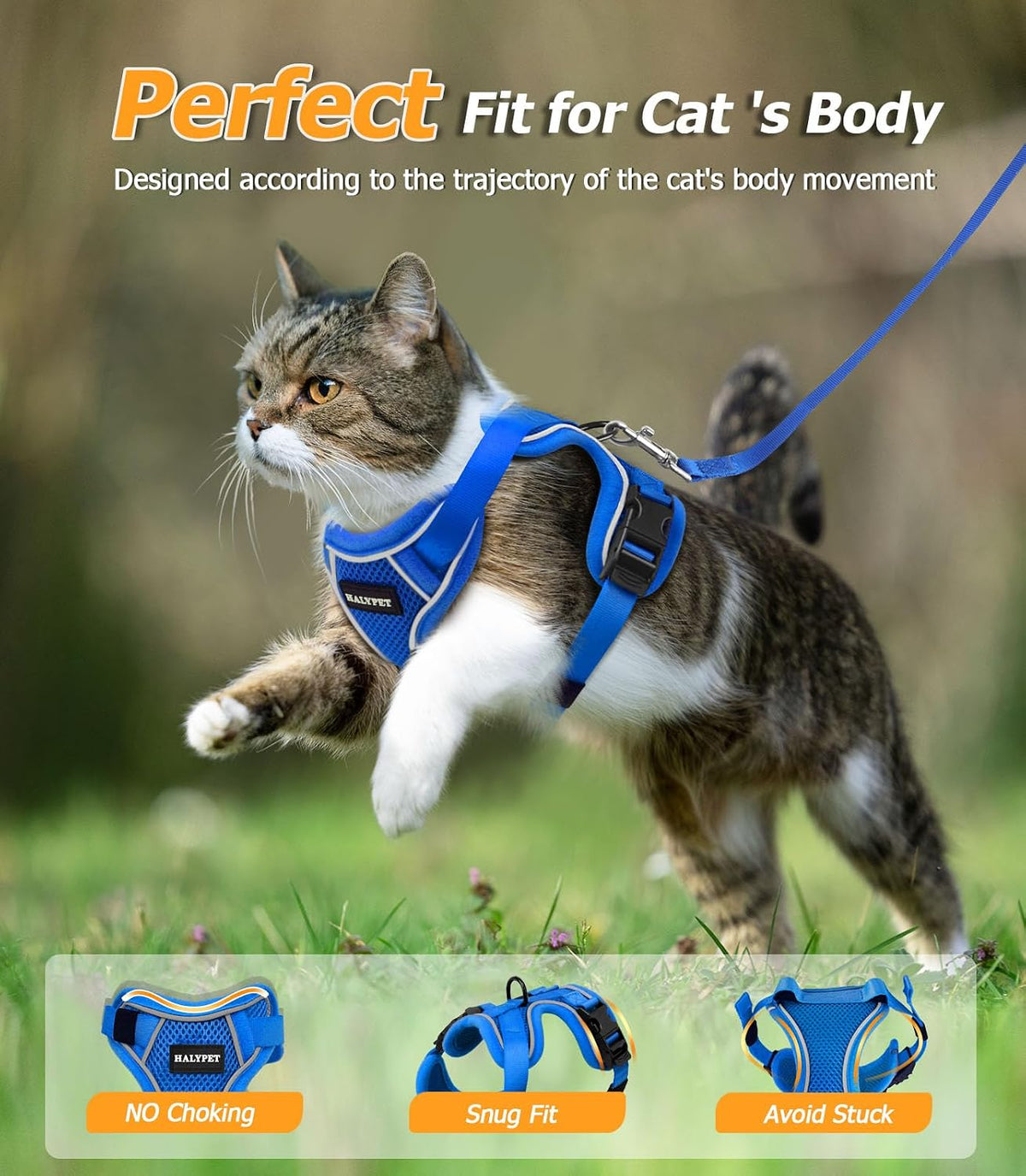 Cat Harness and Leash Set,Escape Proof Kitten Harness,Blue