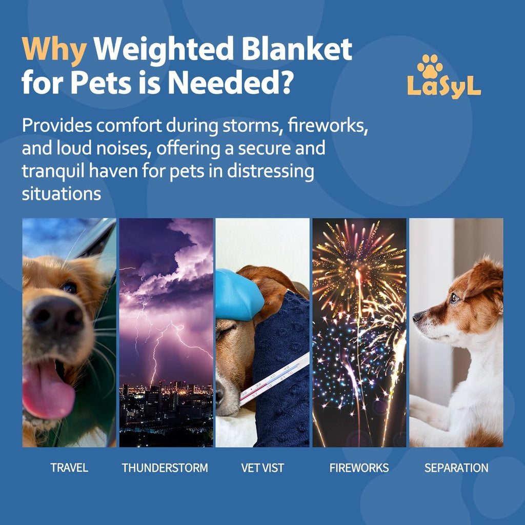 LaSyL Weighted Blanket for Pets | Thunder Blanket for Dogs Anxiety | Premium Soft Minky | Relaxation & Calming & Anti Anxiety | Used in Car, Bed, Couch | Blue Grey Star, Washable Large (40"x47")