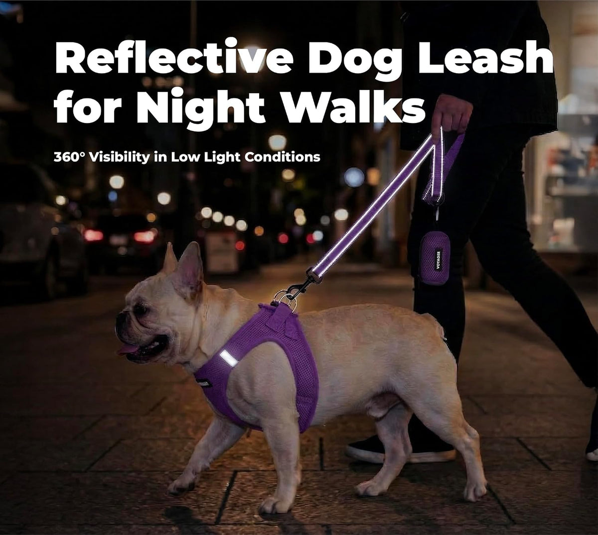 Best Pet Supplies Voyager Nylon Dog Leash - Purple, Large
