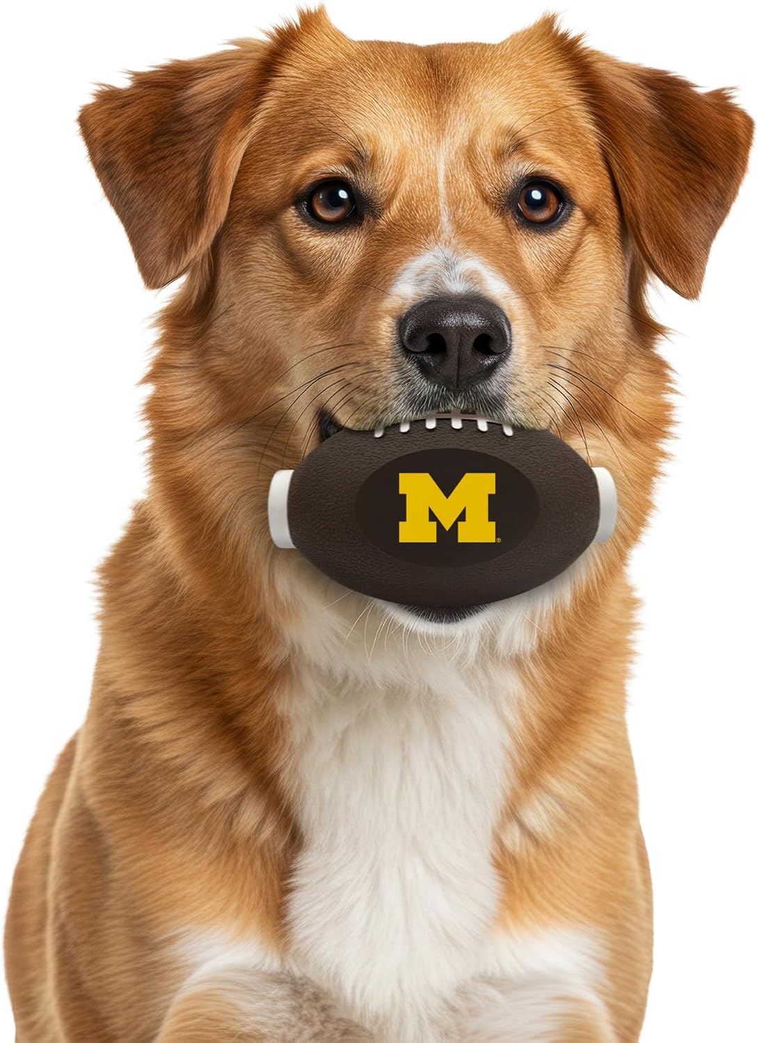 Pets First NCAA Michigan Wolverines Football Treat Dispensing Toy for Dogs and Cats, Rubber Ball Pet Toy, Interactive Fun Doggie Treat Toy, Natural Rubber Feeding Toy (MI-3622)