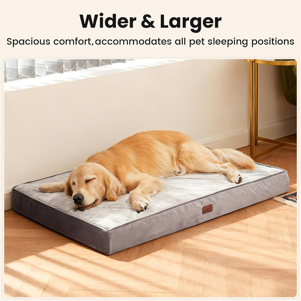 OhGeni Orthopedic Large Dog Bed, Reversible Memory Foam, 44 inch-XXL(Gray)