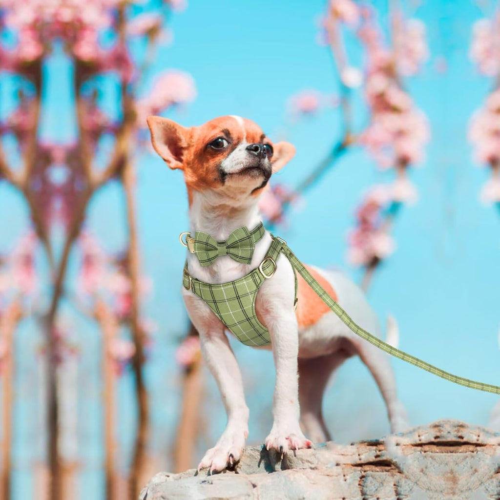 Beirui Cute Extra Small Dog Harness and Leash Set, Green,XXS,Chest 12-14"