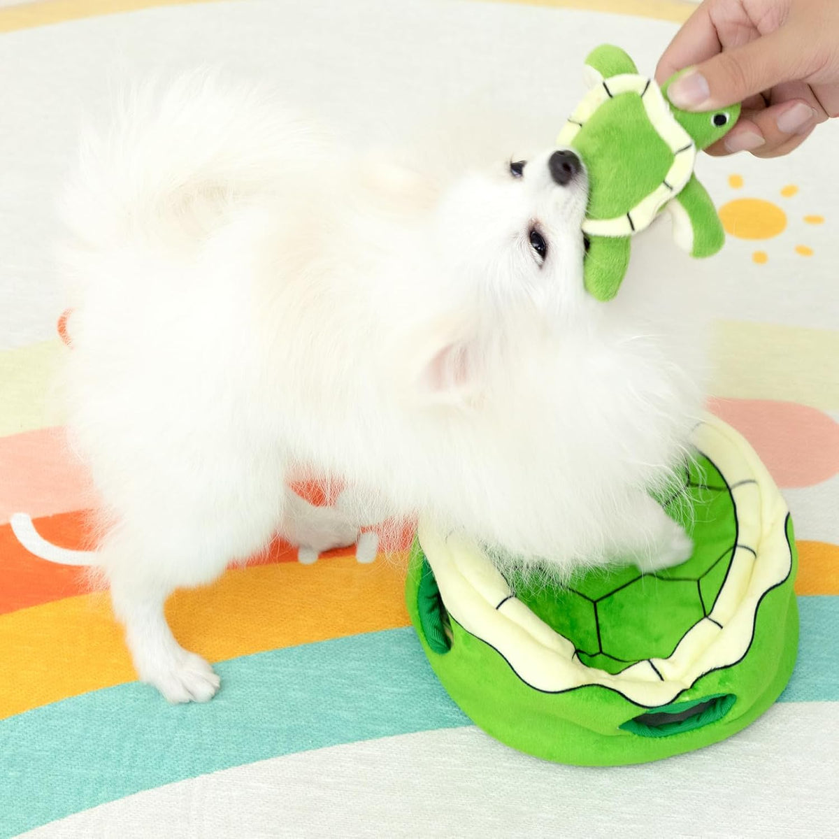 Hollypet Squeaky Hide and Seek Dog Toys for Small and Medium Dogs, Turtle | Interactive Plush Stuffed Dog Squeak Toys for Small Medium Sized Dogs and Non-Aggressive Chewers, Puppy Teeth Clean Chew Toys