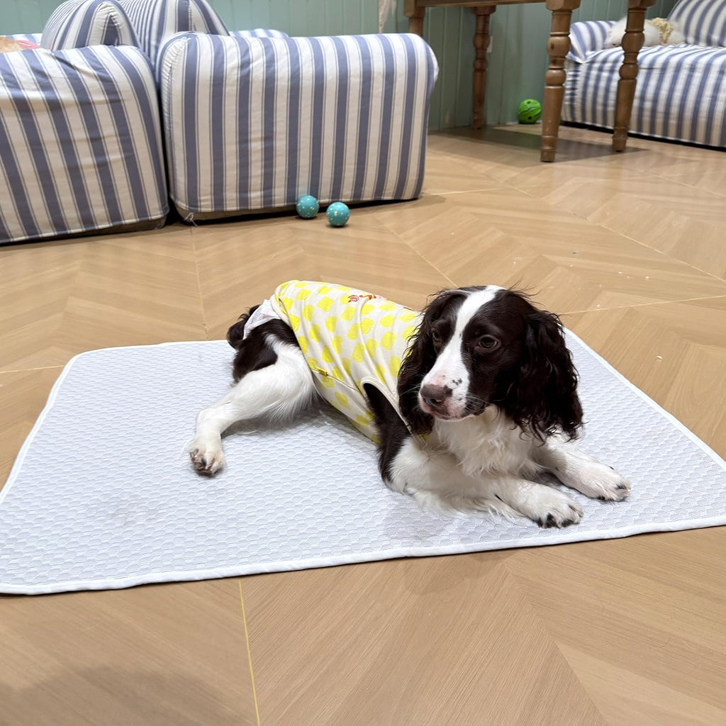Dog Bed Floor Mat 38"x26", Washable Waterproof Non-Slip Thin Pad, M