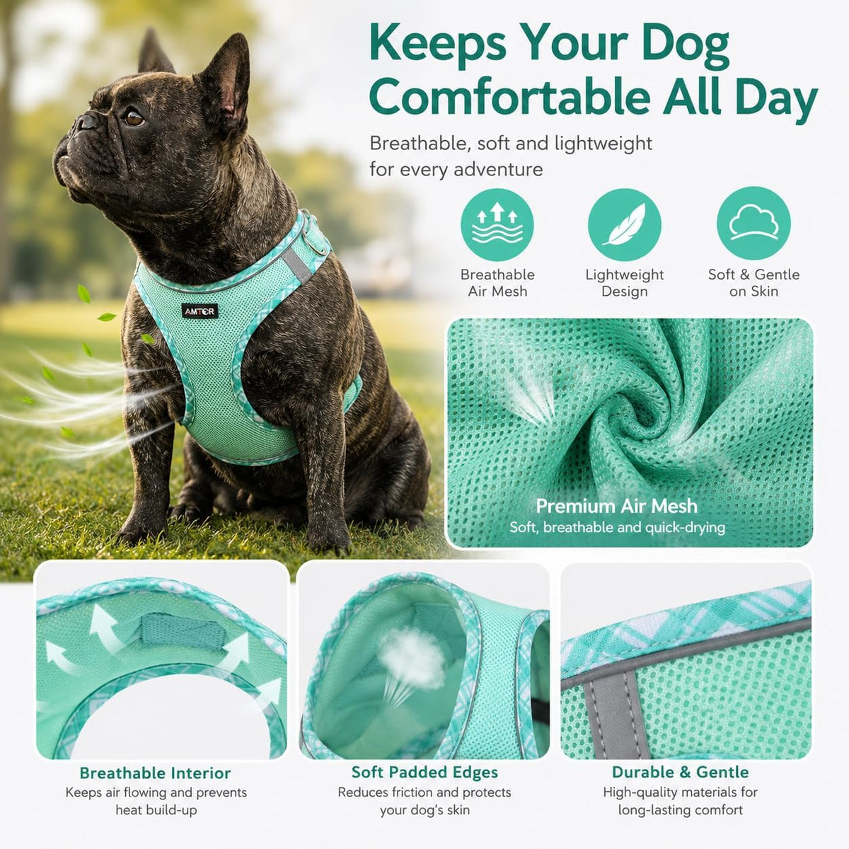 AMTOR Small Dog Harness with Leash Set, No Escape Easy Walk Puppy Harnesses for Training Walking, Step-in Reflective Soft Dogs Vest for XS S Medium Extra-Small Large Sized Dog(Green,S)