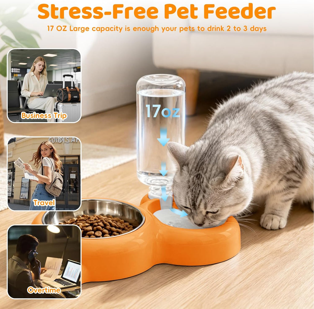 2-in-1 Dog Cat Bowl, Cat Food and Water Bowl Set, Orange