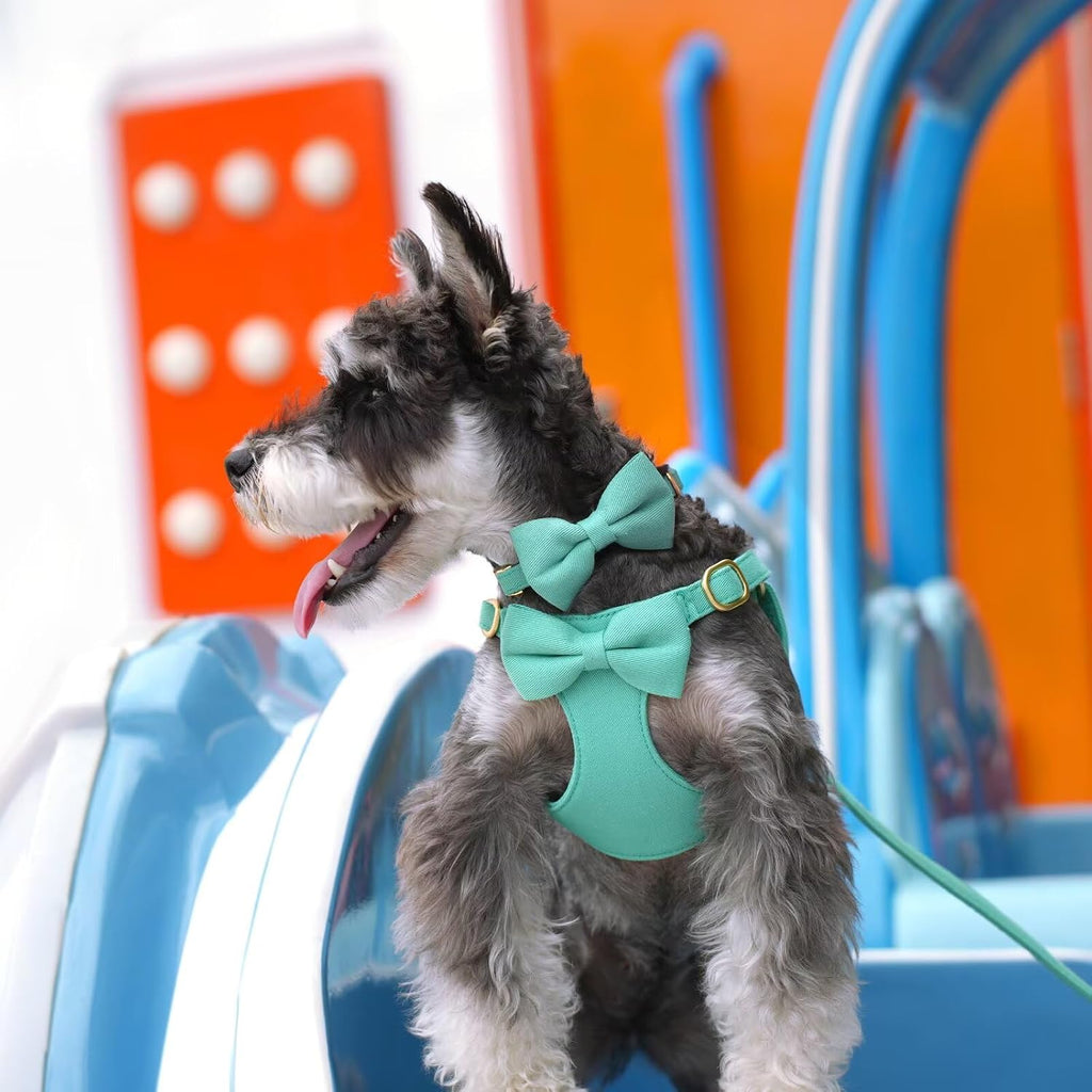 Beirui Cute Small Dog Harness Collar and Leash Set, Green,XS,Chest 13-28"