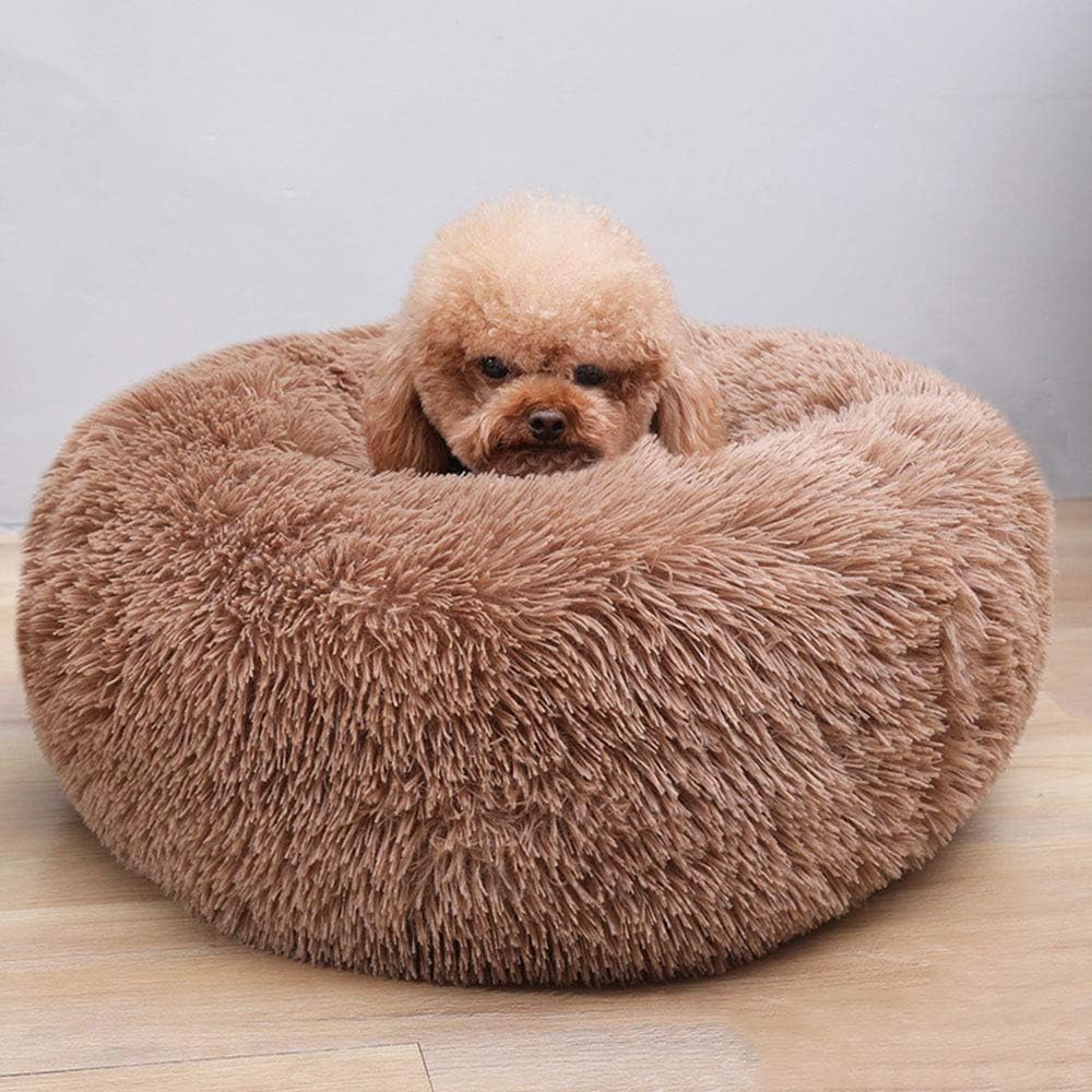 Cat Bed for Indoor Cats,Mini Plush Self Warming Kitten Bed, 20 Inch