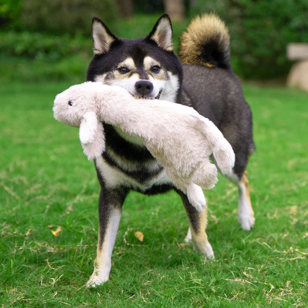 Best Pet Supplies 2-in-1 Stuffless Squeaky Dog Toy - Hare, Pig, Medium
