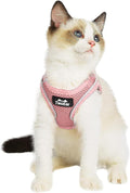 Twoear Cat Harness and Leash Set, Escape Proof Kitten Harness for Walking