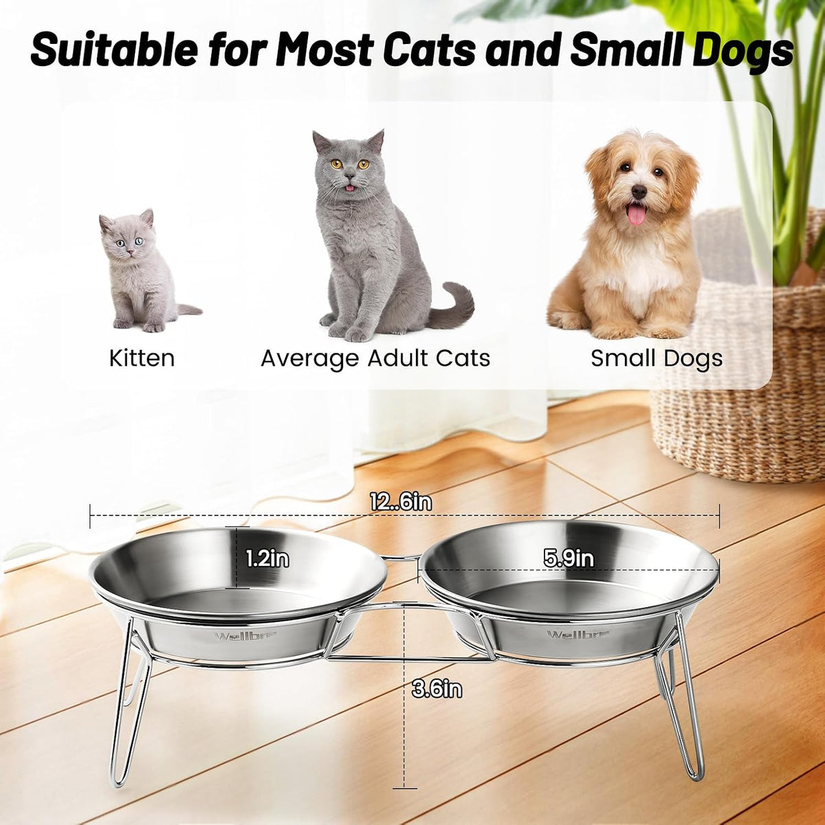 Elevated Cat Bowls, Wide Stainless Steel Cat Food Bowls with Metal Stand Whisker Stress-Free, Raised Food and Water Dish for Cats, Kitten, Puppies and Small Dogs